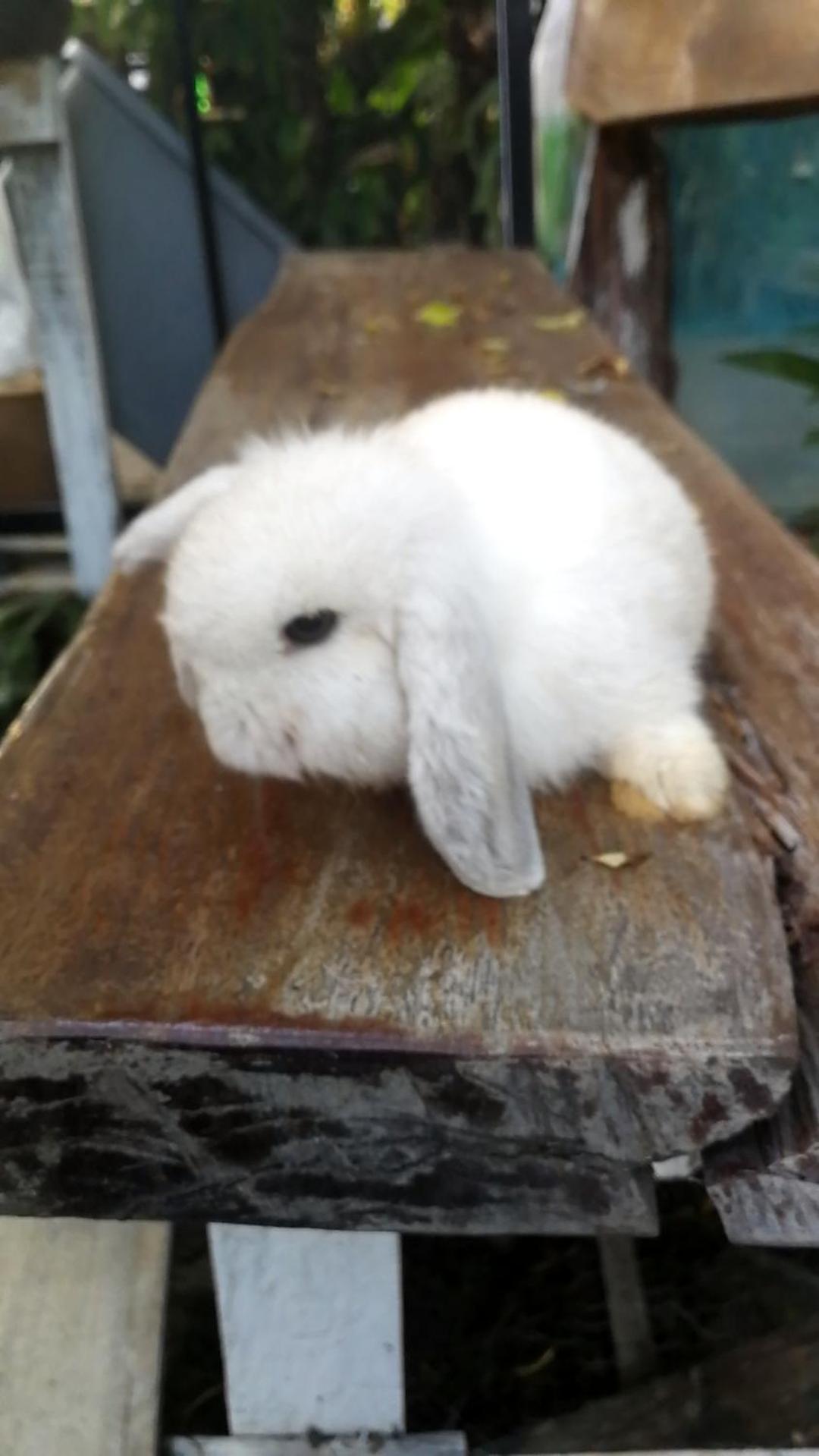 Na Na Doo Homestay Chiang Rai Exterior foto